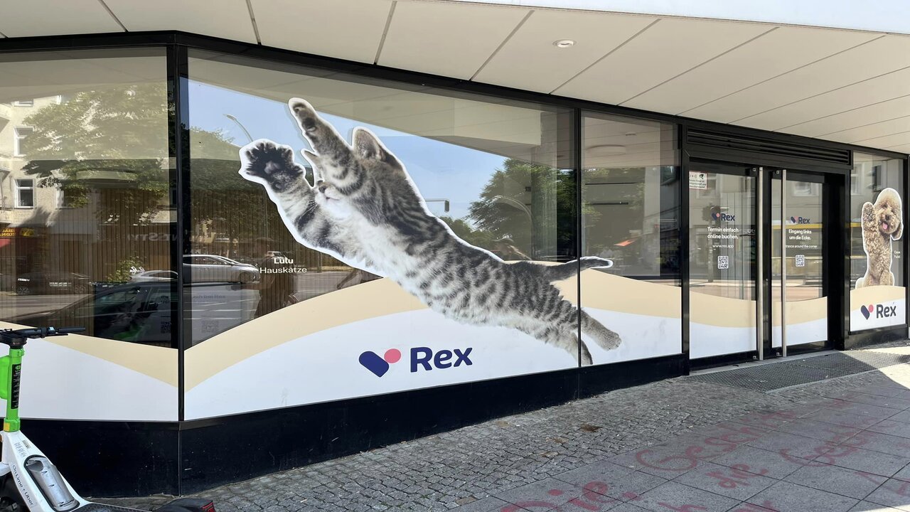 Trans-FUR-ming a visit to the vet: Rex's journey to unleash a better user experience