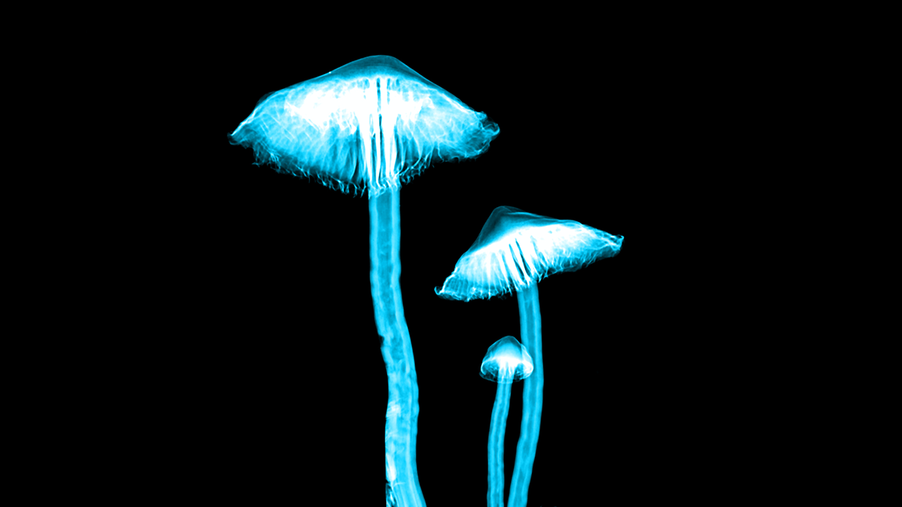 COMPASS Pathways to advance psilocybin therapy with up to $285M in new financing