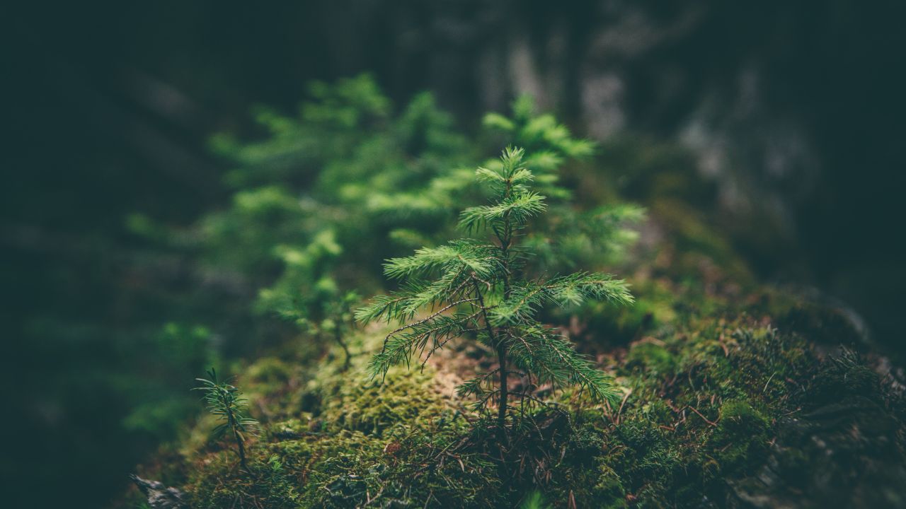 SWEN Capital Partners confidently backs REGA's renewable energy ambitions in €60M fundraise