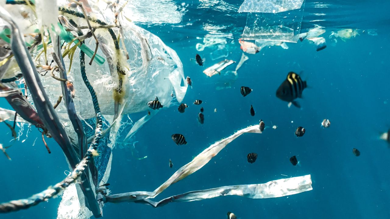 nChain invests €2M in blockchain-based climate tech, Universal Plastic