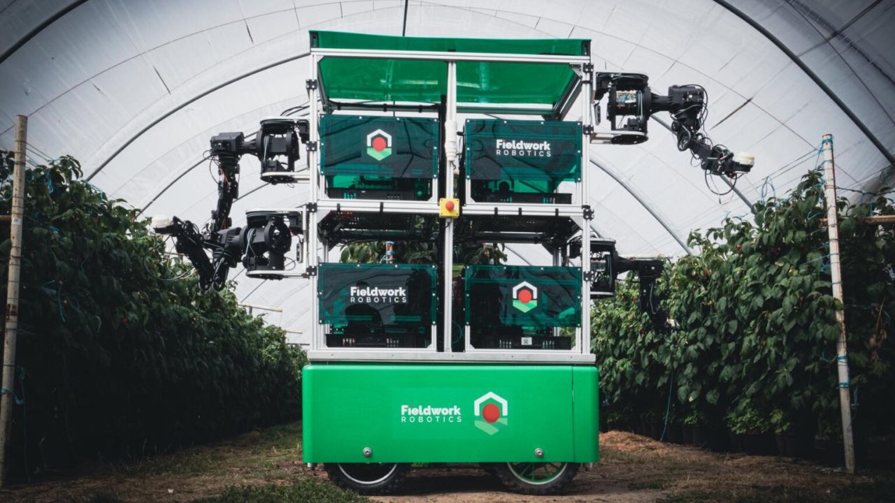 Fieldwork Robotics raises £1.5M in funding for AI-supported harvesting robot