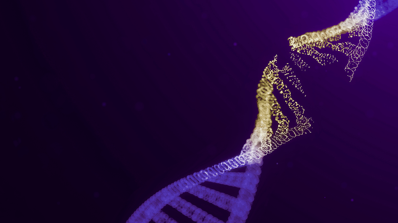 Advancing gene therapy safety: Broken String raises $15M for DNA break mapping platform