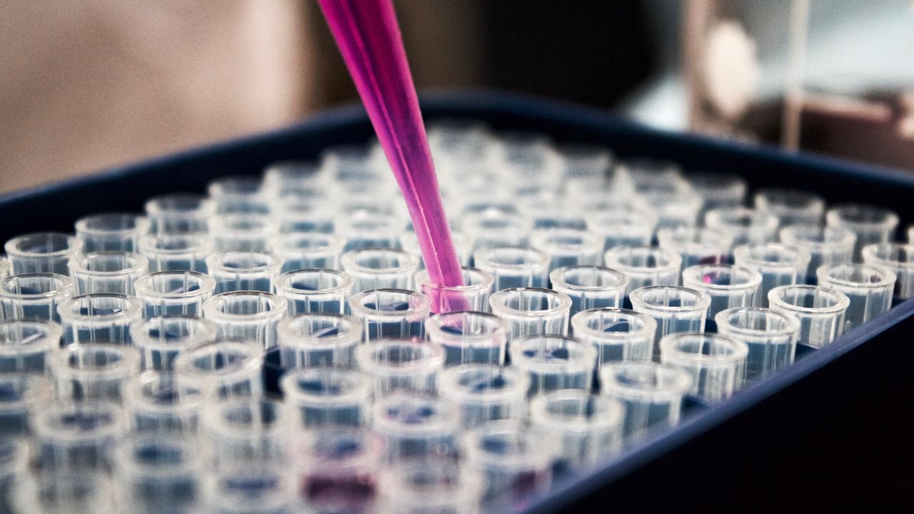 EverImmune secures €3.5M from Bpifrance to fund drug trial in cancer patients