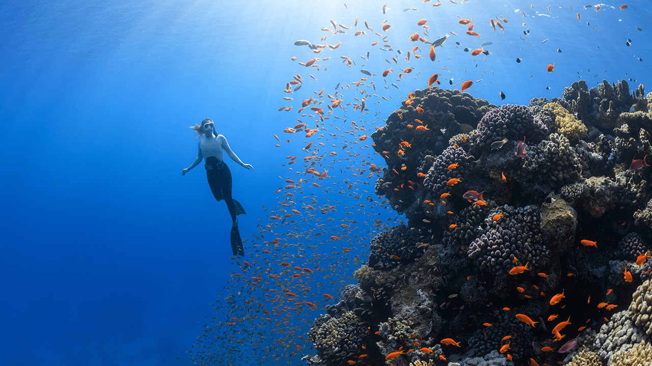 How workplace engagement can benefit from “quiet thriving” and coaching technology