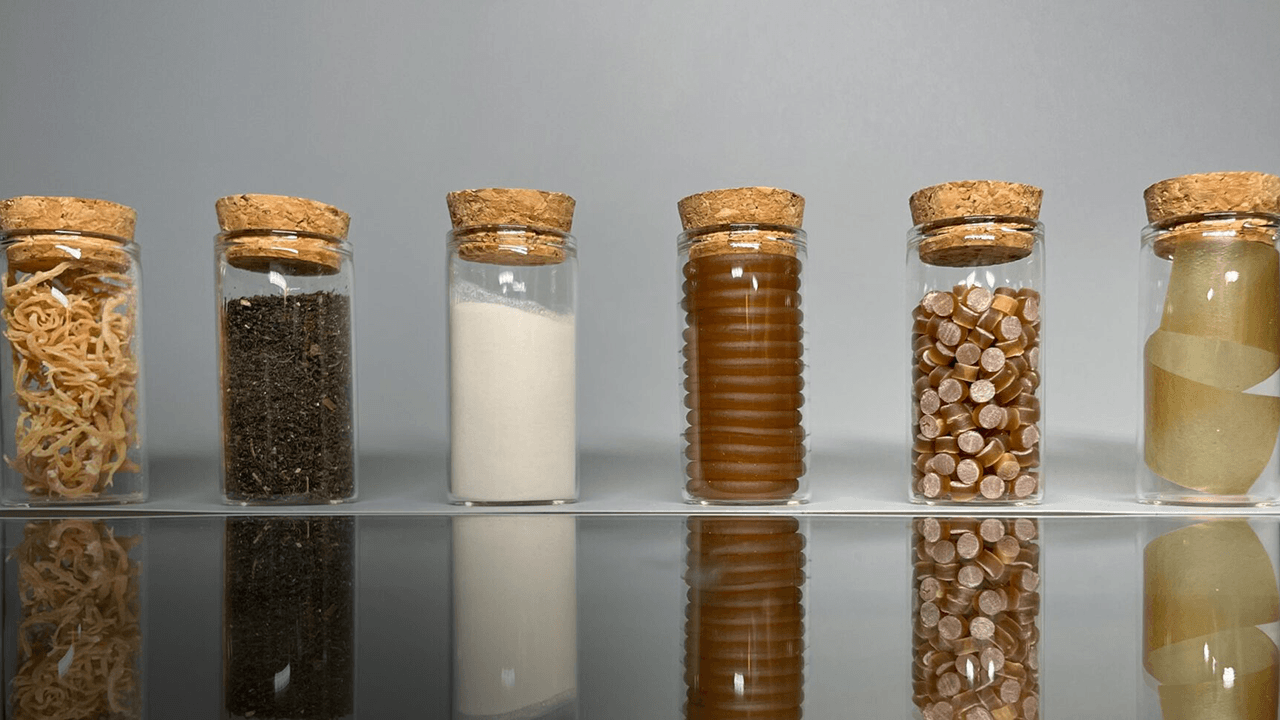 Blue biotech firm FlexSea raises £2M for sustainable seaweed bioplastic production