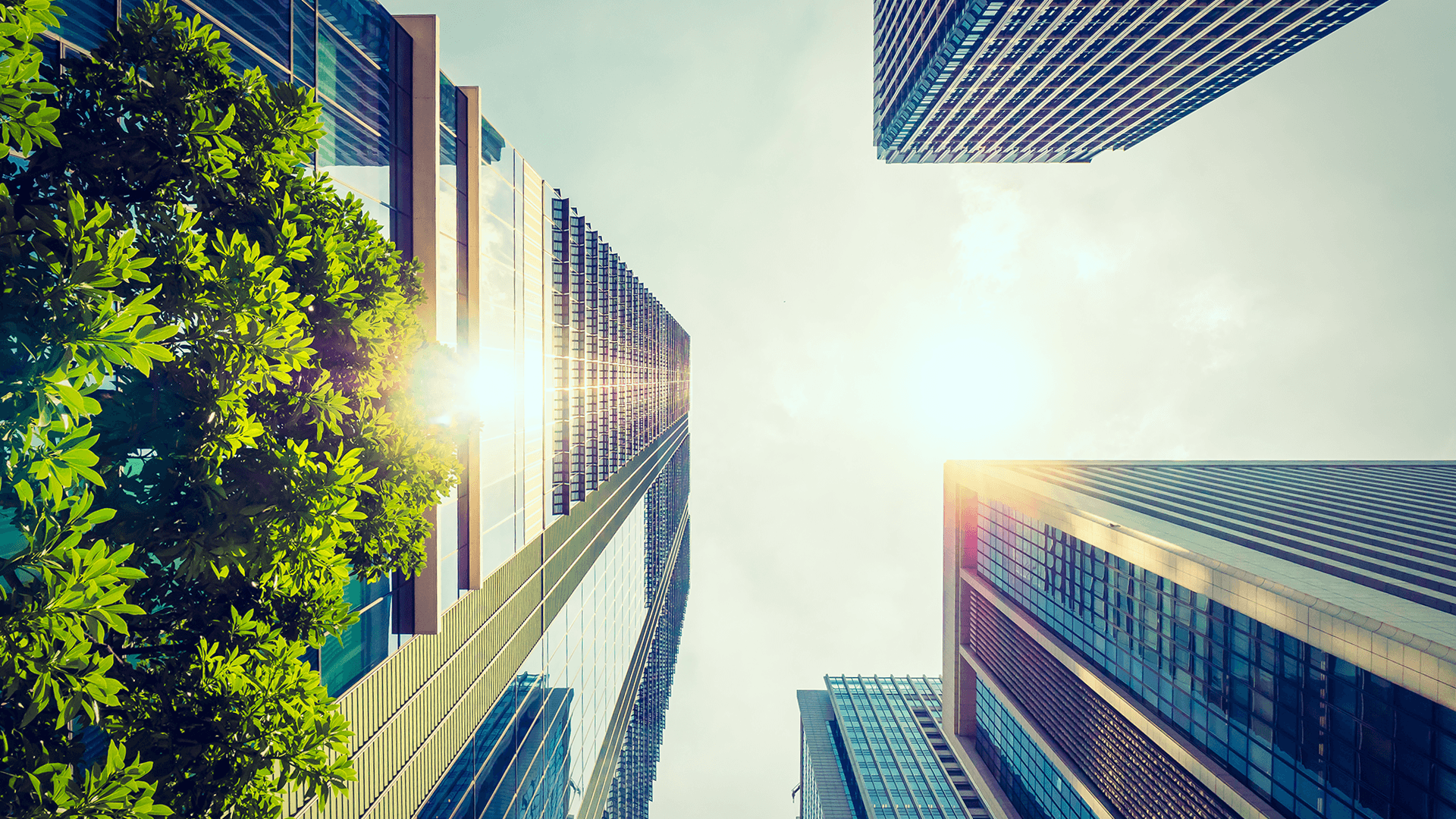 BeCause raises $1.9M for sustainability data management in travel industry