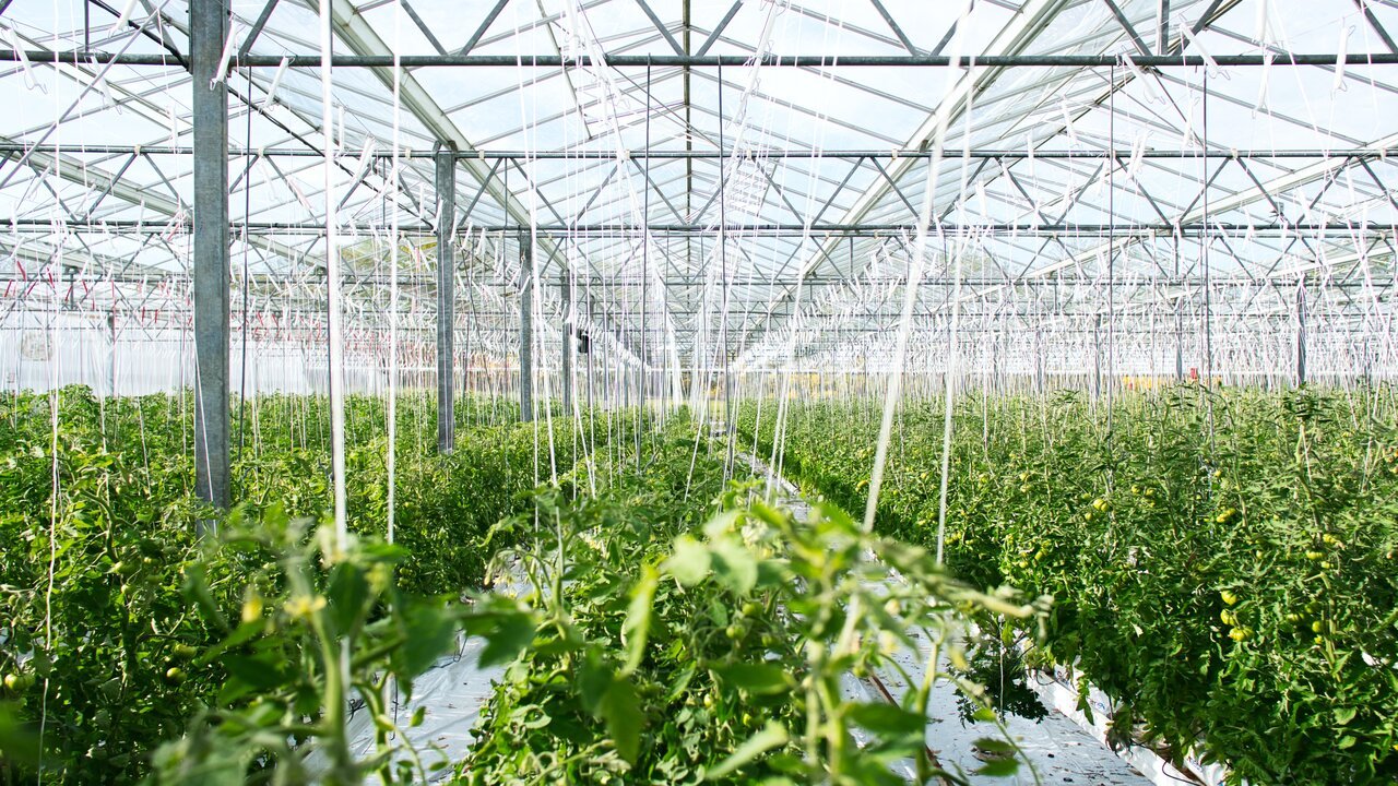 Supernova Invest and Crédit Agricole launch €60M agri-agrotech fund