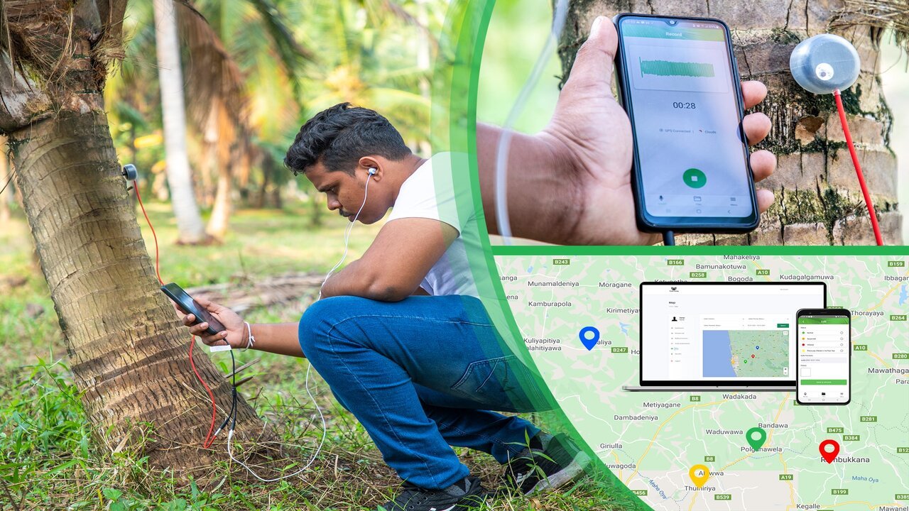 Permia Sensing secures pre-seed funding to improve palm plantation sustainability