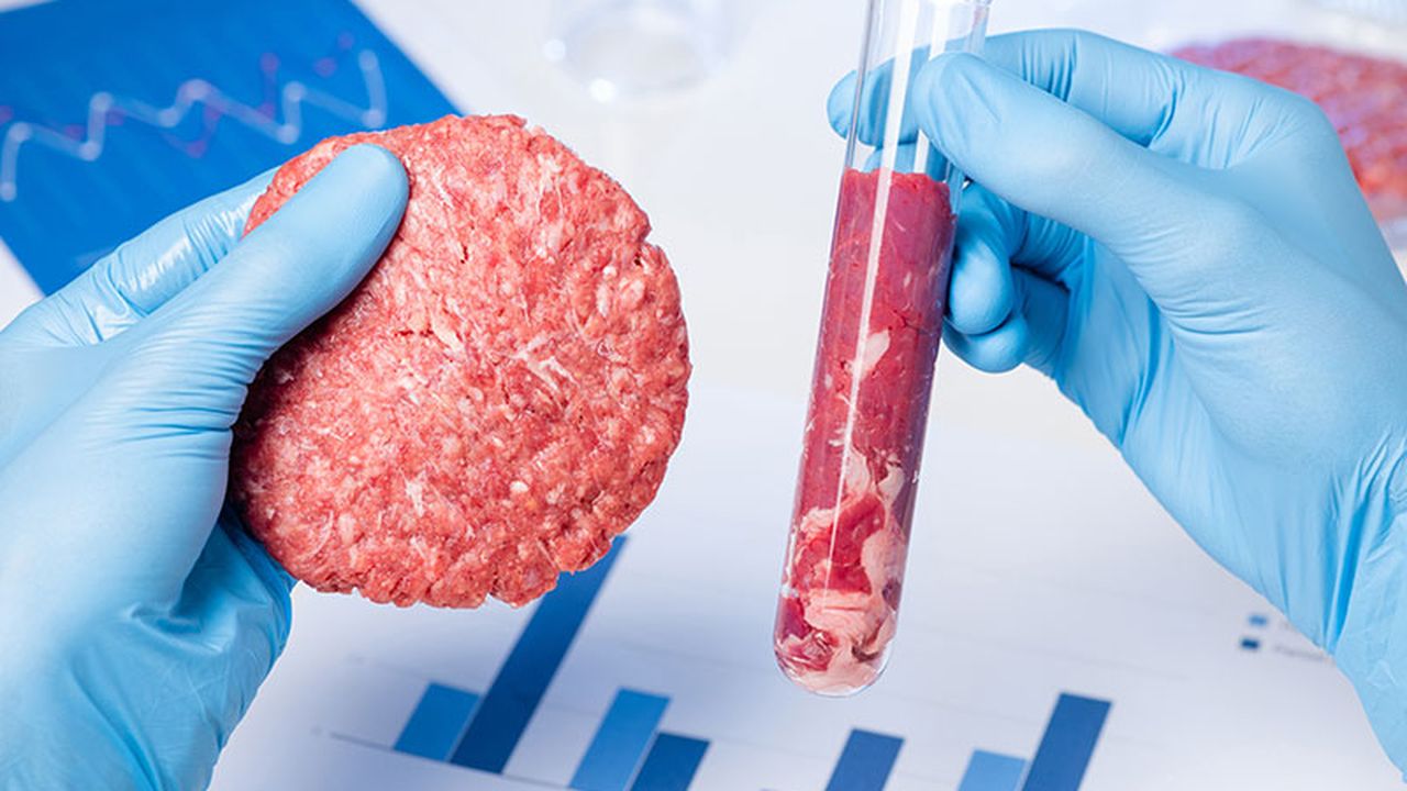 Sustainability dominated the foodtech landscape in 2023. Here's what it means for 2024
