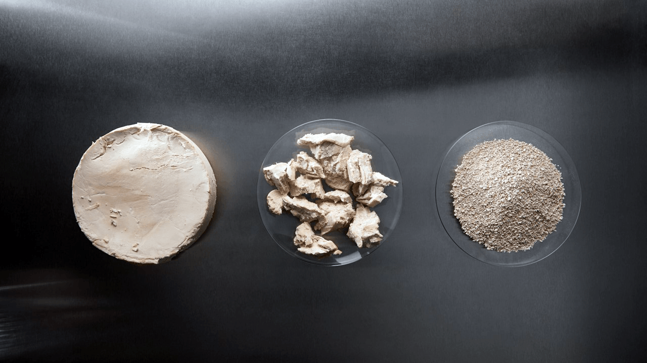 From alternative protein winter to a level playing field for startups and investors