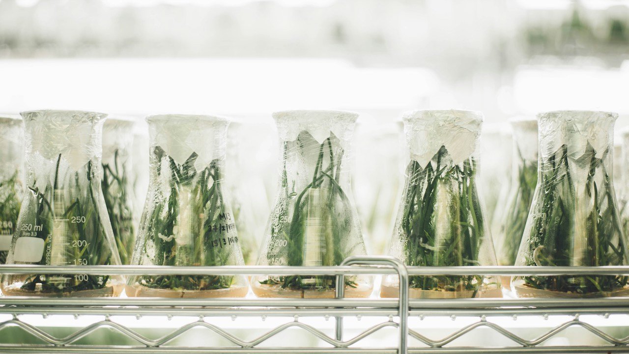 Agritech's time to shine: State of Foodtech 2024