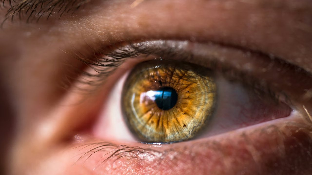 BIOPHTA secures €6.5M Seed funding for eye disease treatment tech