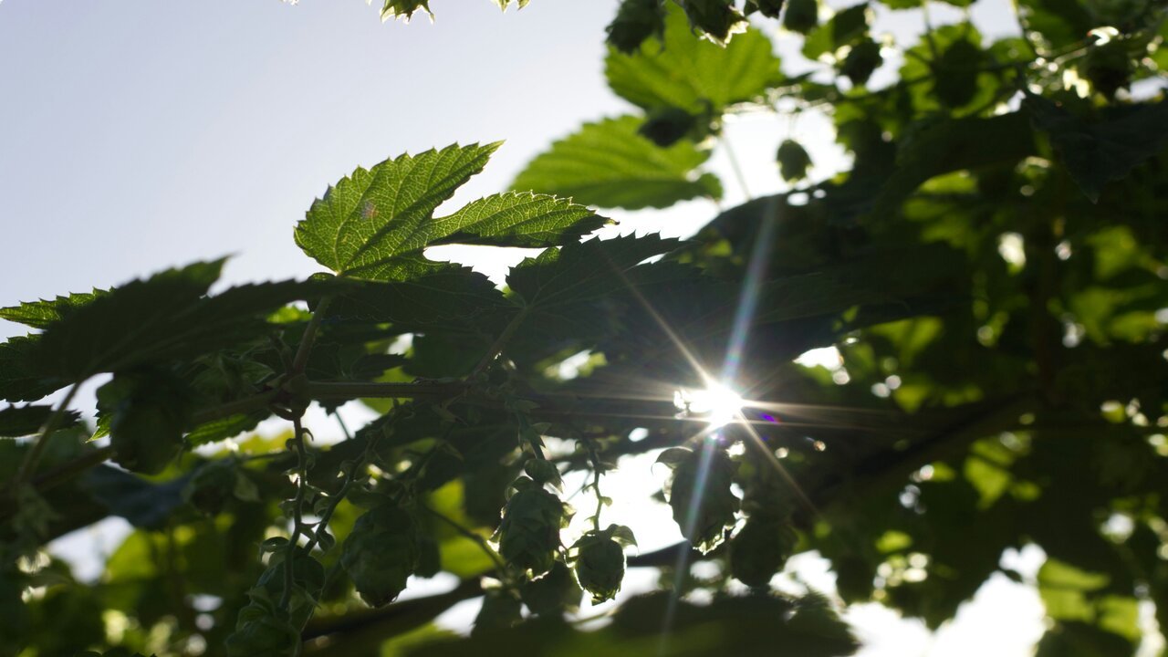 How Maki VC is driving change in startup investments: a look at its 2023 Sustainability Report