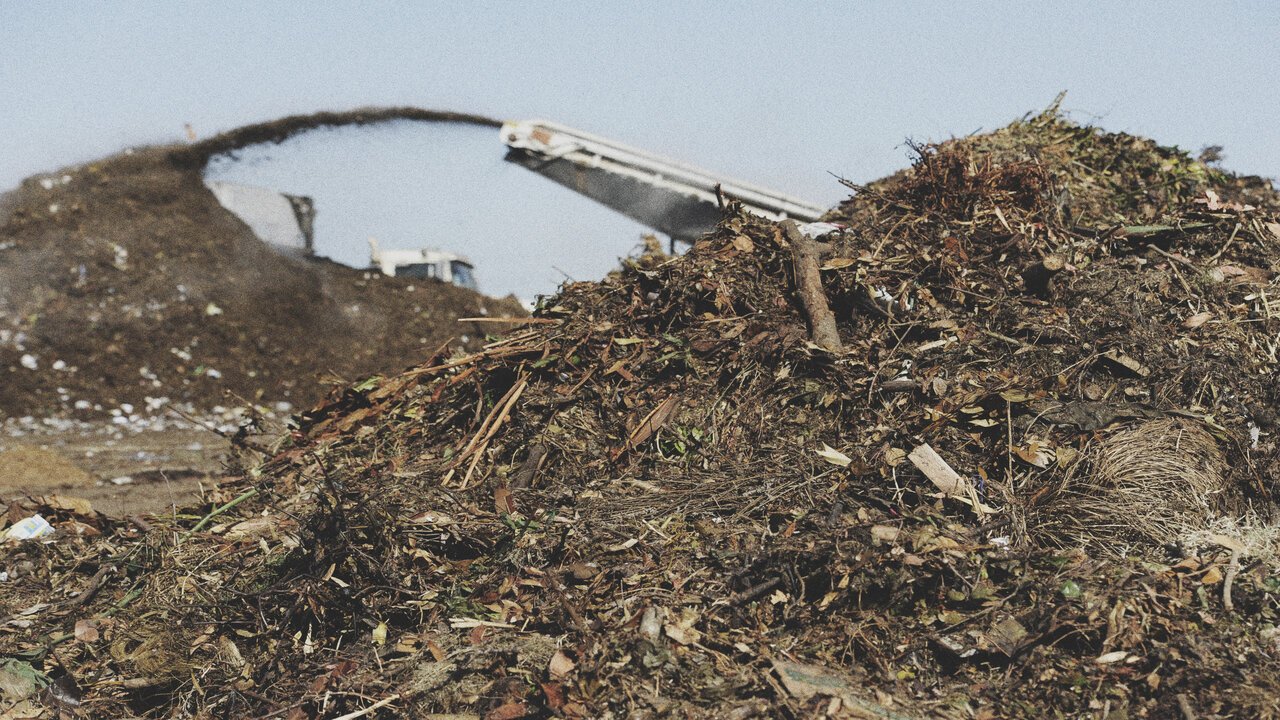 Biochar booms towards gigatonnes, but low-quality concerns cloud market growth