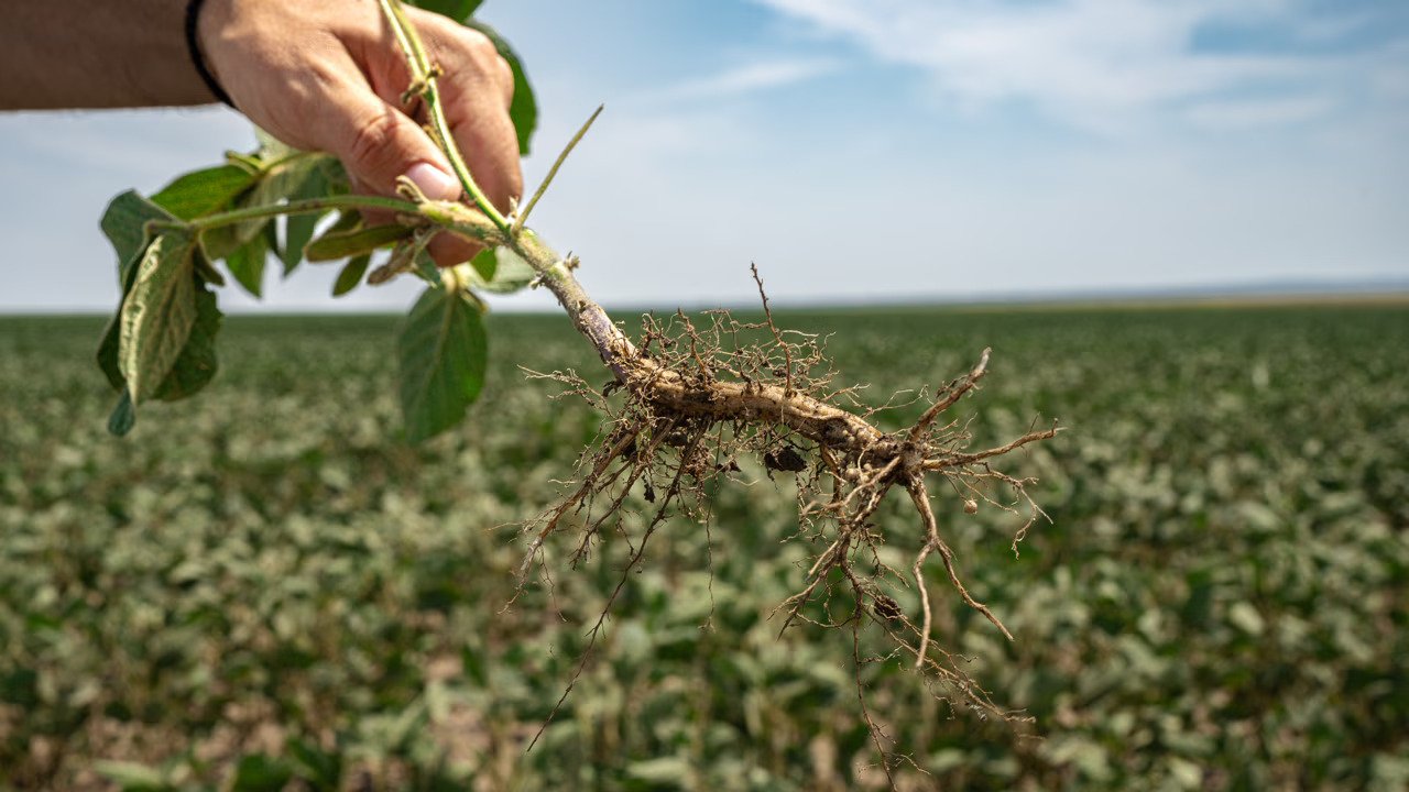 World Bank's IFC and Agreena join forces to close 'finance gap' for sustainable farming