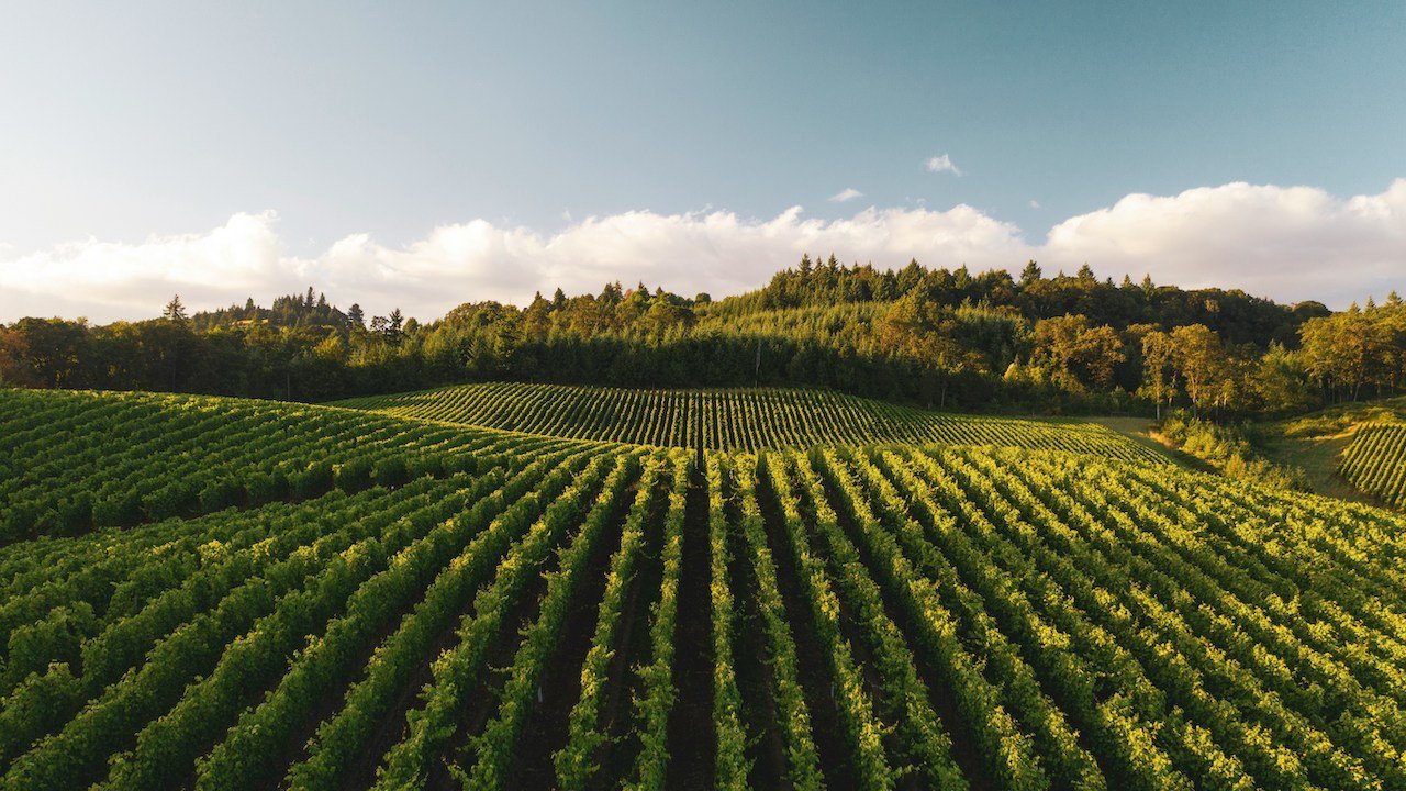 Proba secures €1M to decarbonise agritech through insetting