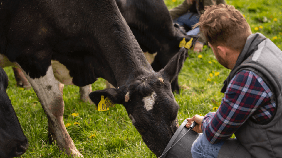 Antler Bio raises $4.3M in round led by The First Thirty