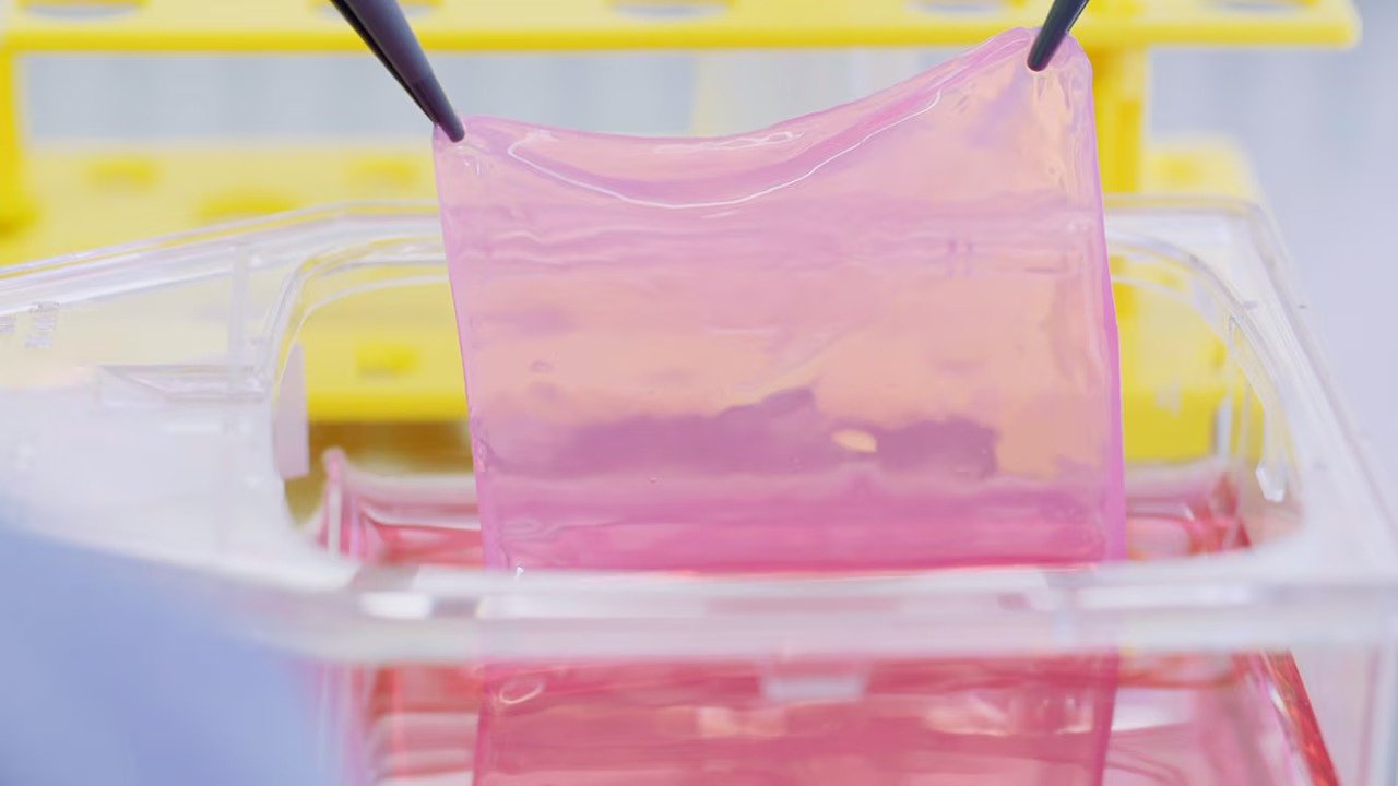 CUTISS secures €57.9M Series C to advance regenerative skin therapies