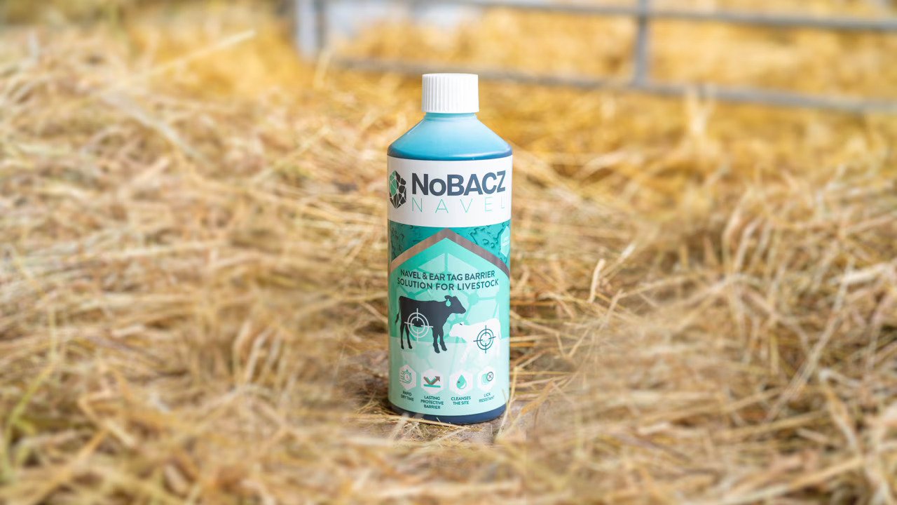 Cambridge spinout NoBACZ bags £4.8M to scale sustainable wound-care tech for animals