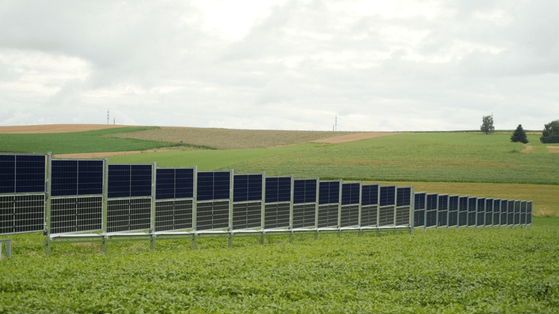 feld.energy raises €10M+ seed to accelerate agricultural photovoltaics in Germany