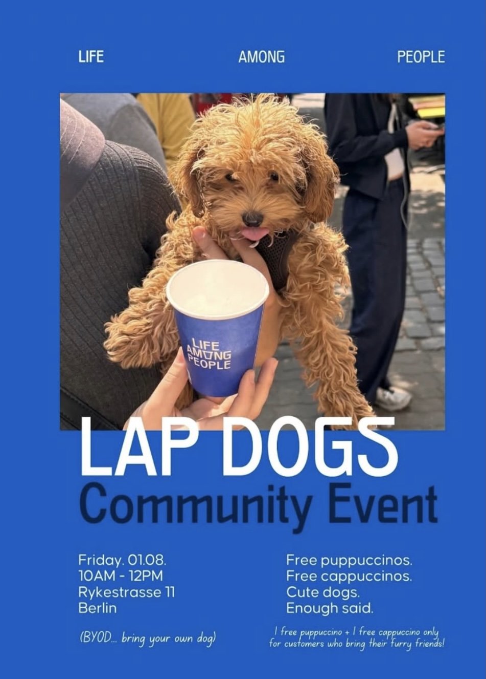 screenshot-2025-09-08-at-151403-829