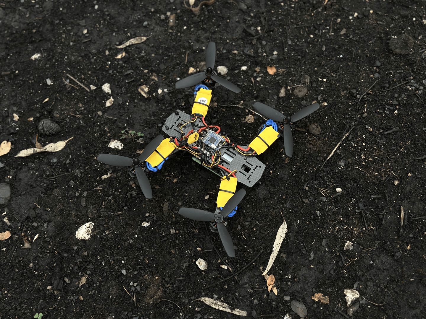 reseed-scout-727