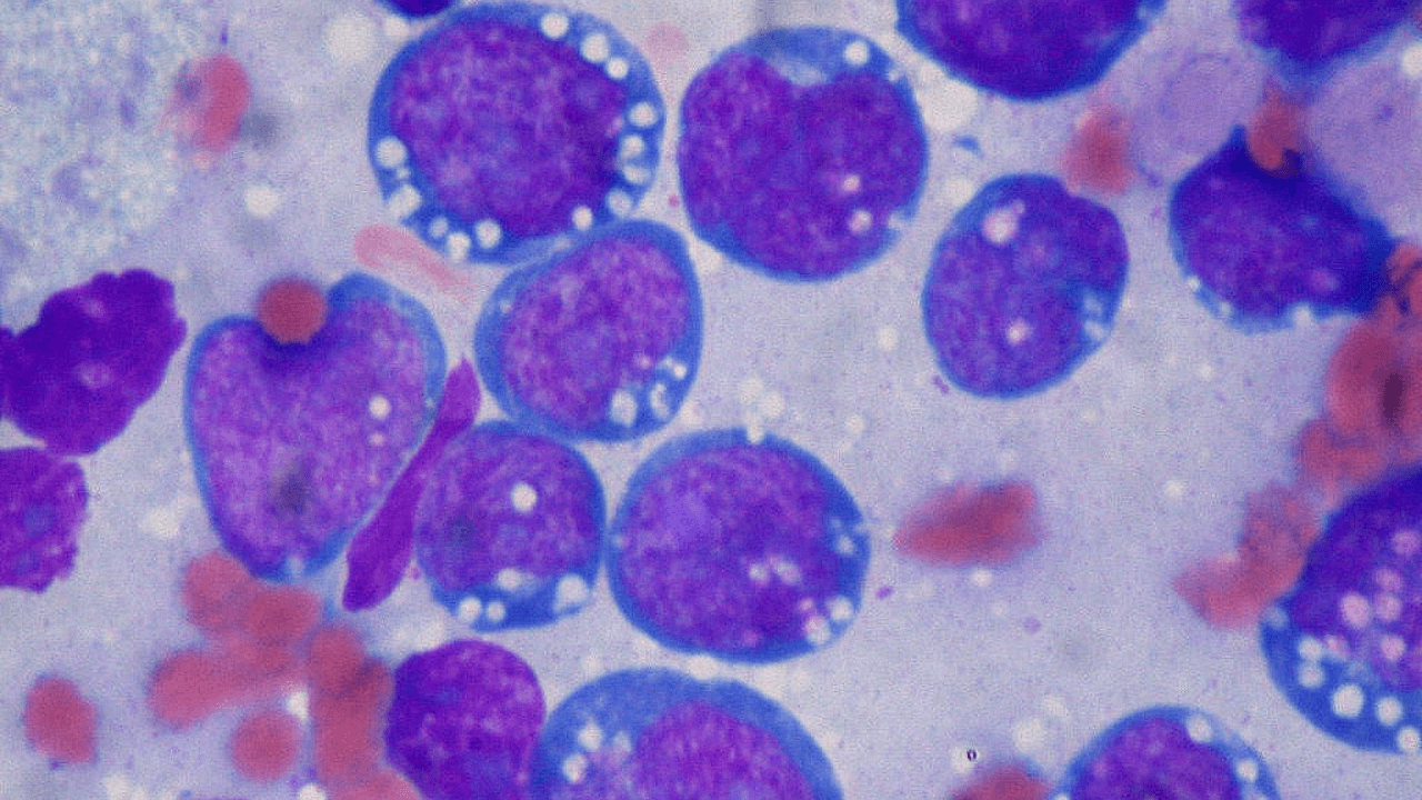 LIfT BioSciences is engineering the body’s oldest defenders to fight cancer