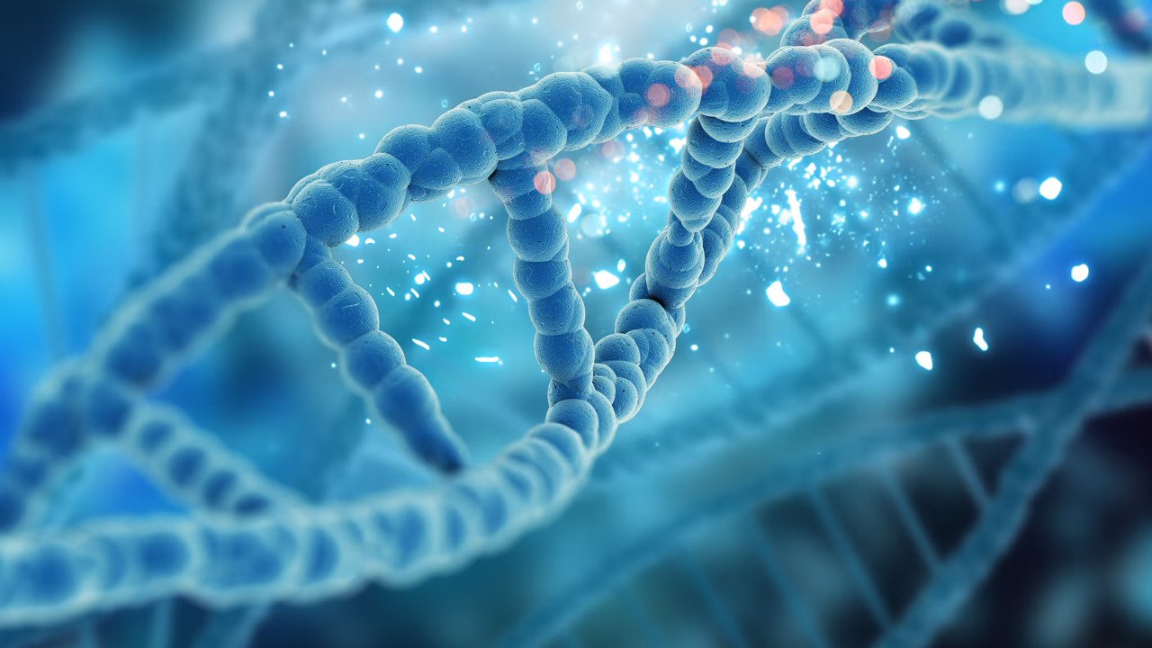 Artios raises $115M Series D to accelerate first-in-class cancer therapies