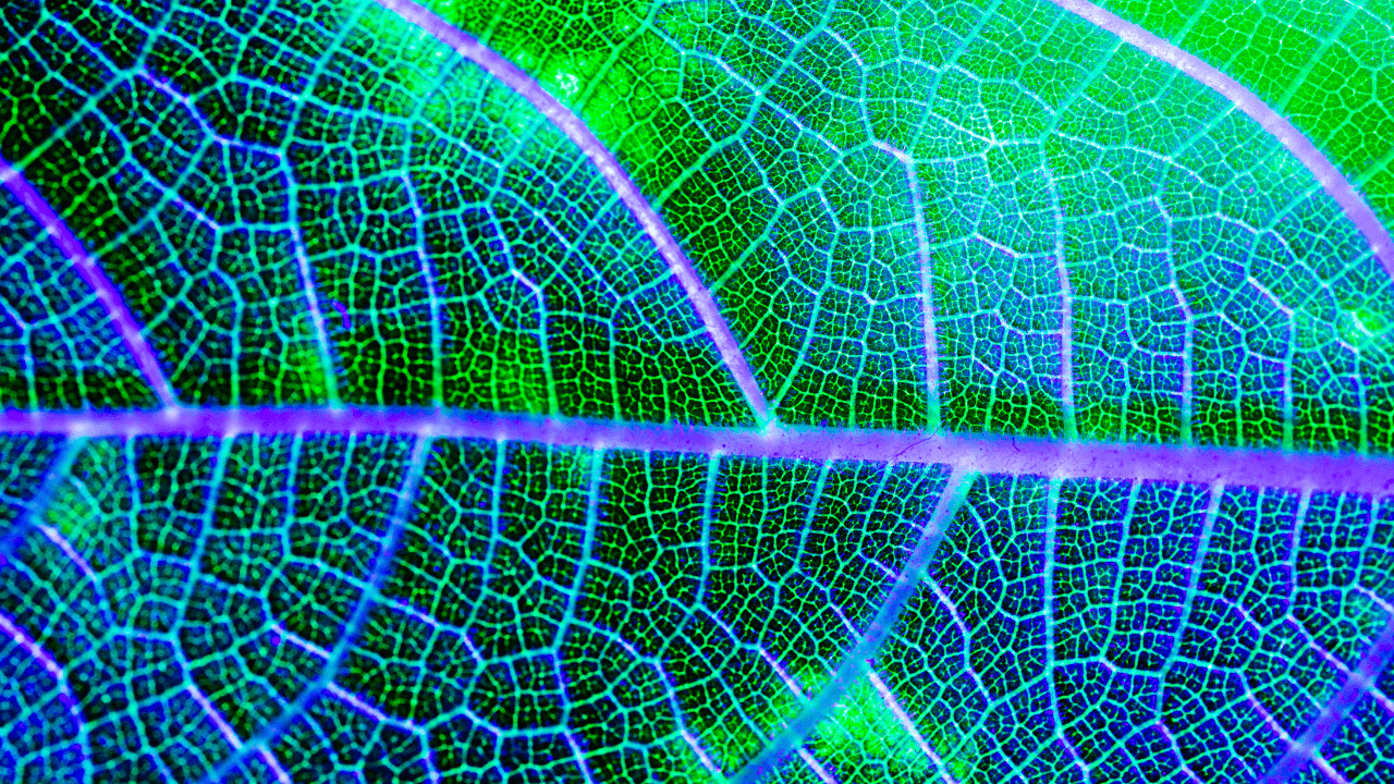 Europe’s edge in energy, software, and the future of compute