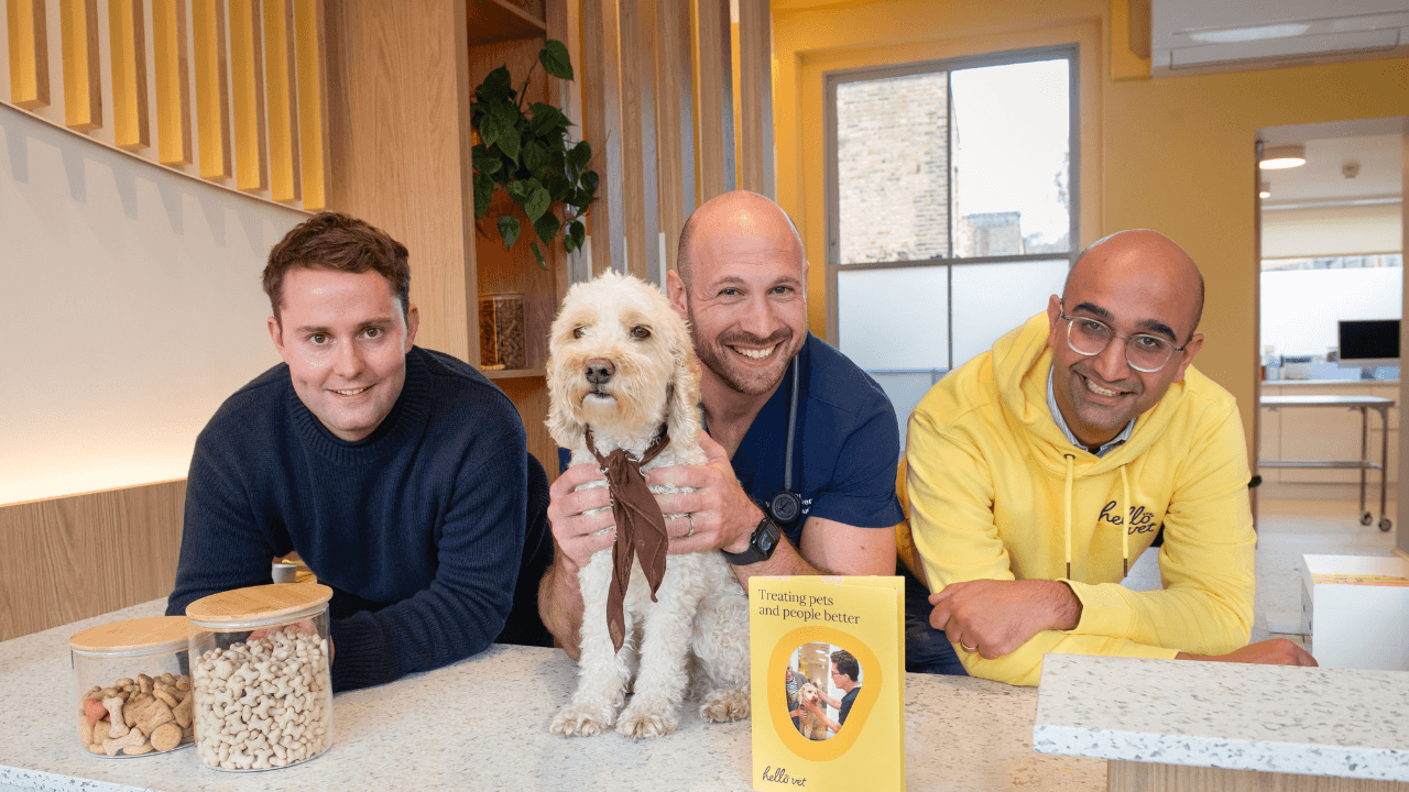 £15M boost for Hello Vet as it reimagines the future of veterinary care