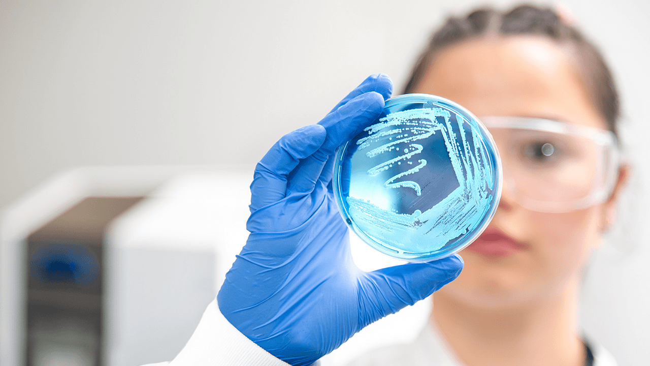 iFAST Diagnostics raccoglie 5 milioni di sterline per accelerare i test sulle infezioni