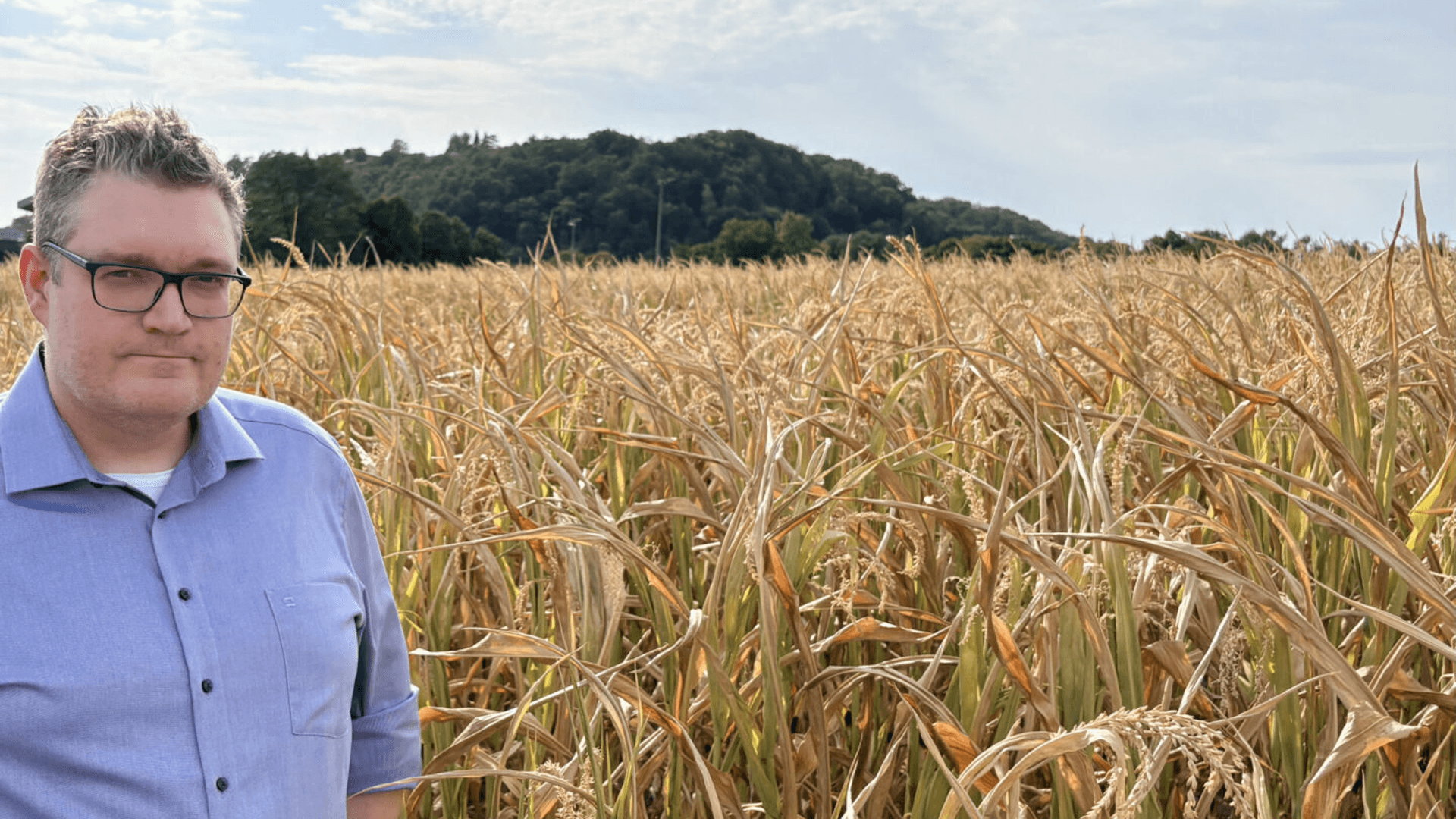 Computomics raises €6.3M to scale climate-smart plant breeding