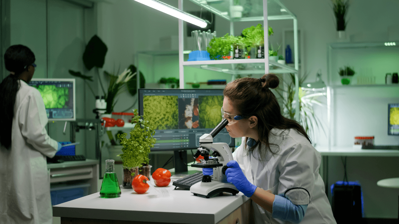 EIF backs Nordic Foodtech VC with €30M to scale Europe’s agrifood deeptech